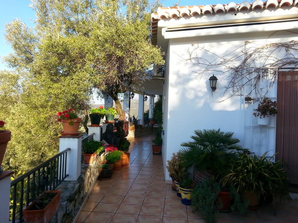 Cómpeta Villa Andalucia חדר תמונה